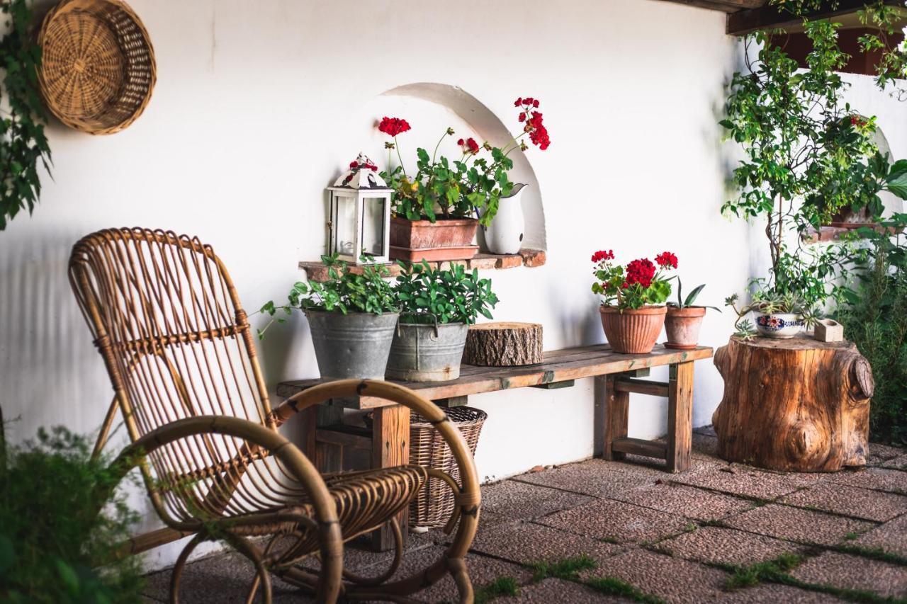 Bed and Breakfast A Casa Mia Bagnolo San Vito Exteriér fotografie